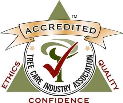 Accredited logo of Tree Care Industry Association