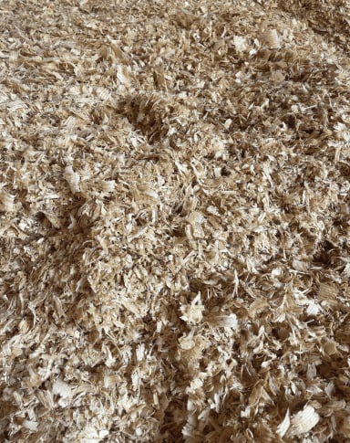 Wood shavings spread over a surface.